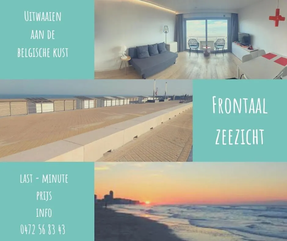 Studio Zwembad Met Frontaal Zeezicht Ostende Belgique